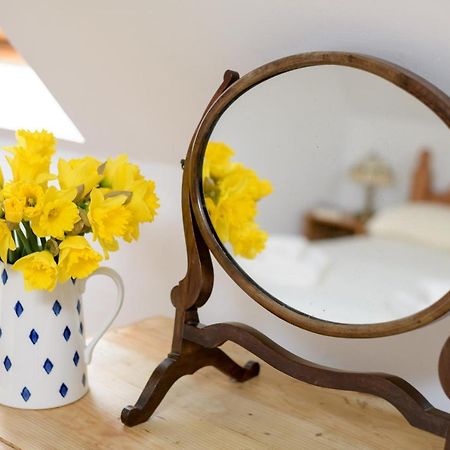 Luccombe Farm Holiday Cottages Milton Abbas Esterno foto