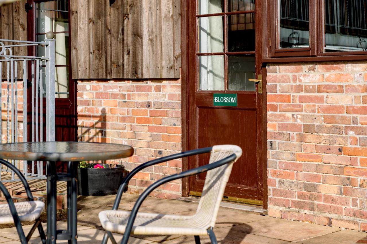 Luccombe Farm Holiday Cottages Milton Abbas Esterno foto