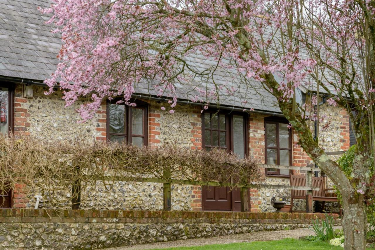 Luccombe Farm Holiday Cottages Milton Abbas Esterno foto