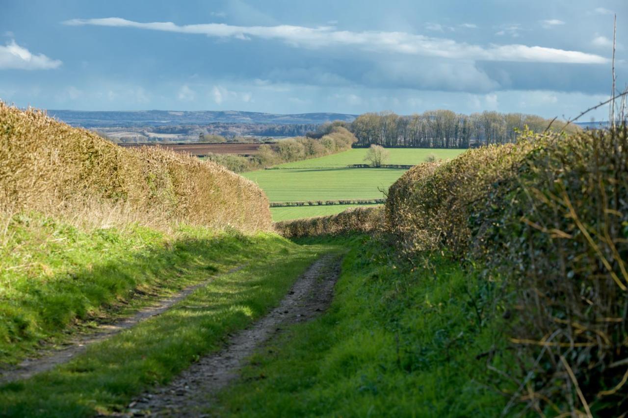 Luccombe Farm Holiday Cottages Milton Abbas Esterno foto
