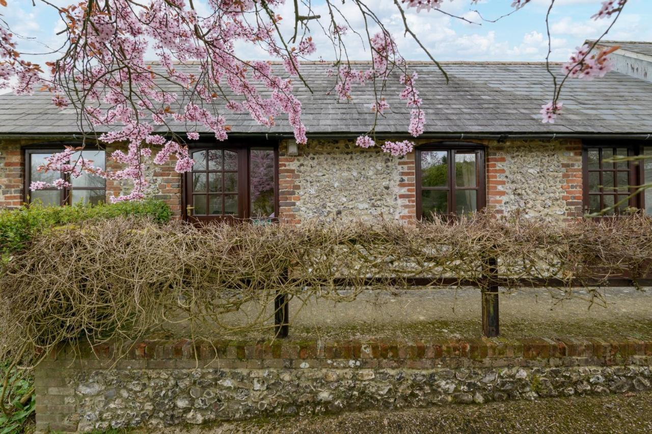 Luccombe Farm Holiday Cottages Milton Abbas Esterno foto